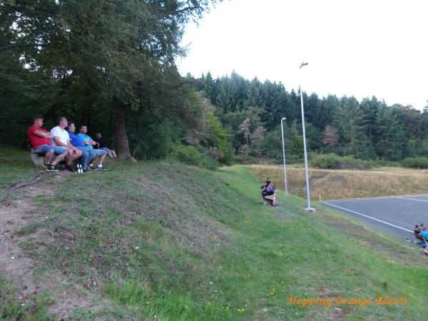 Waldsportplatz am Tierpark - Herborn-Uckersdorf
