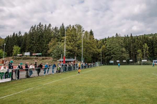 Sparkassen Waldstadion Nebenplatz - Sebnitz