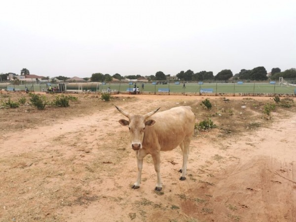 Late Ousman Saho Football Field - Yundum