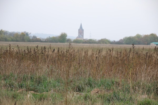 Sportplatz Auf der Heide - Nideggen-Wollersheim