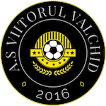 Wappen AS Viitorul Valchid