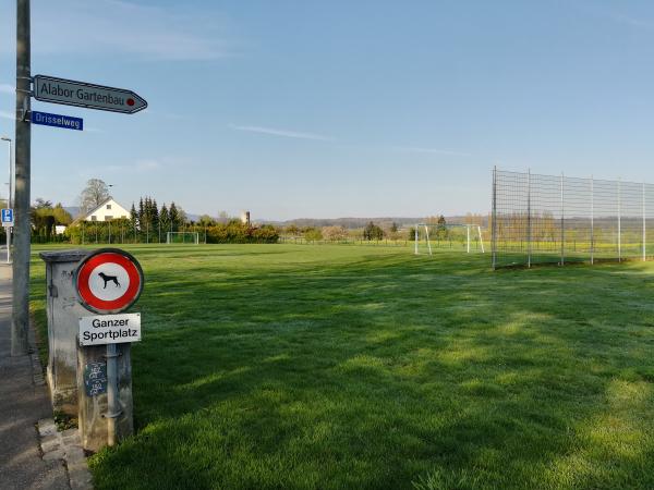 Sportplatz Drissel - Binningen