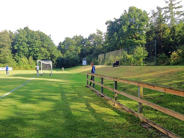 SkovParken - Vojens