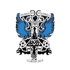 Wappen Falmouth DC FC