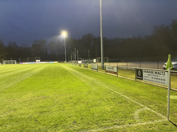 Stade Municipal de Scheibenhard - Scheibenhard