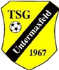 Wappen TSG Untermaxfeld 1967 diverse  84783