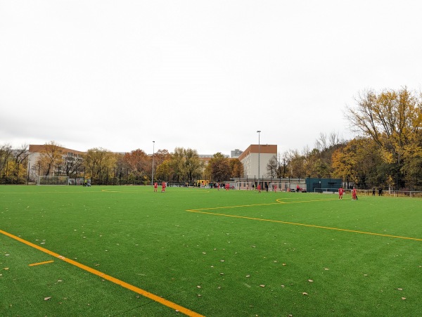 Sportplatz Hohenschönhauser Straße - Berlin-Prenzlauer Berg