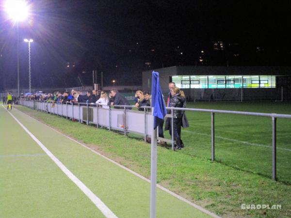 Ehrmann-Sportzentrum Platz 2 - Tübingen