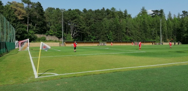 Stade Émile Mayrisch terrain annexe - Esch-Uelzecht (Esch-sur-Alzette)