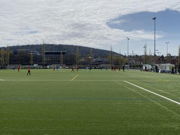 Sportanlage Neudorf Platz 4 - Zürich