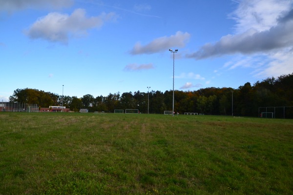 Sportanlage Alter Bierweg B-Platz - Wolfsburg