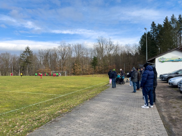 Waldsportplatz - Hallgarten/Pfalz