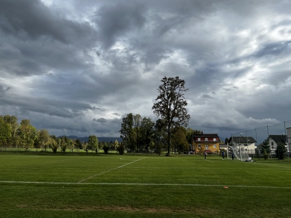 Waldstadion Nebenplatz - Hard