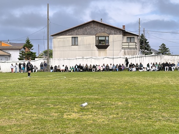 Stade Léonce Claireaux - Saint-Pierre, Île Saint-Pierre