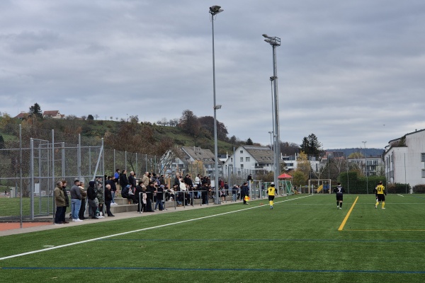 Sportzentrum Allmend Platz 2 - Meilen