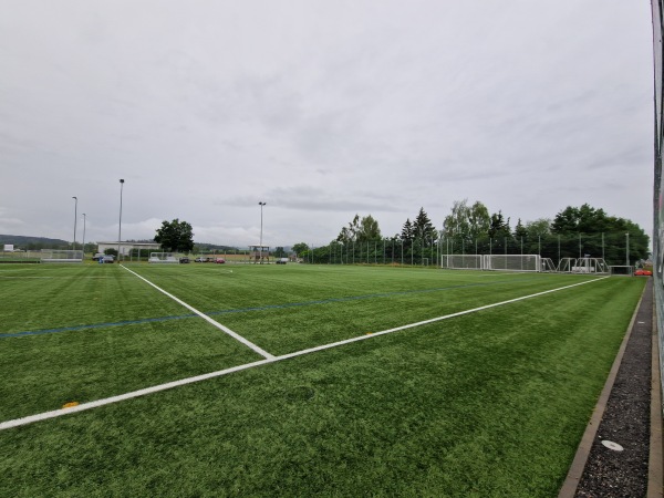 Sportplatz Rietsamen Platz 2 - Wiesendangen