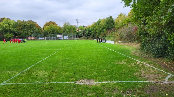 Sportanlage Lindleinsmühle - Würzburg-Lindleinsmühle