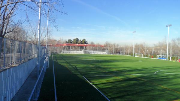 Campo de Fútbol Centro Cultural Los Rosales - Madrid, MD