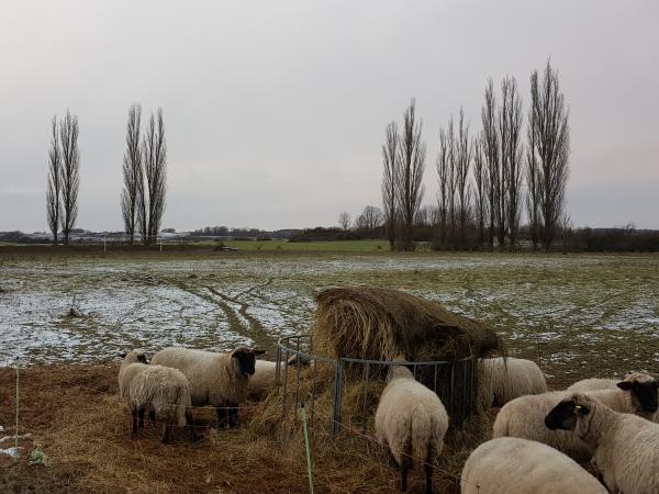 EOS-Platz - Strasburg/Uckermark