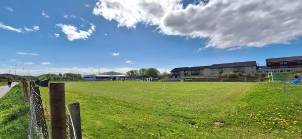 Sakkestad gras - Haugesund