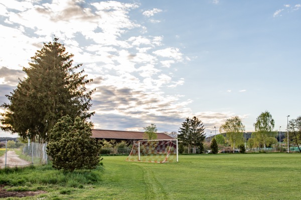 Ludwig Kastl Arena Nebenplatz - Weiden/Oberpfalz-Rothenstadt