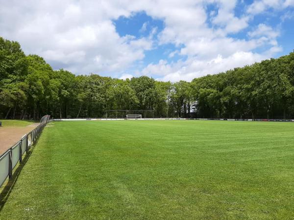 Sportpark Gagelman veld 1-DES - Hellendoorn-Nijverdal