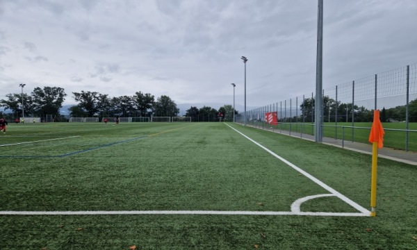 Stade du Guintzet terrain synthétique - Fribourg