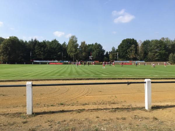 VfB-Sportgelände - Hohenleipisch