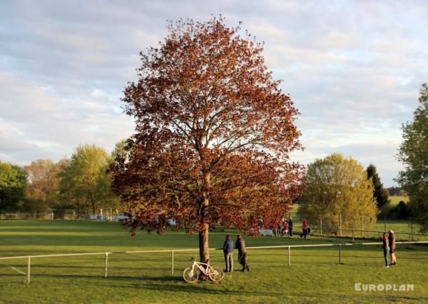 Sportplatz Kirchbühl - Mahlstetten  