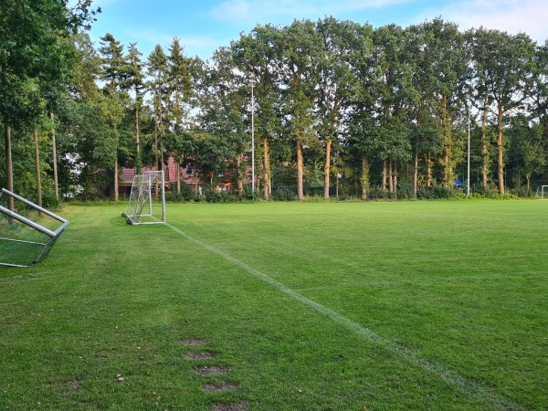 Waldstadion Hünensteine C-Platz - Freren