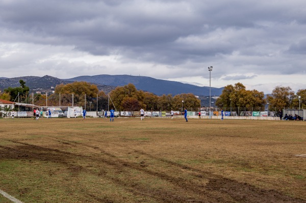 Stadio Nea Anchialos - Volos-Nea Agchialos