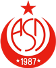 Wappen Türk Amac Spor Dahlhausen 1987