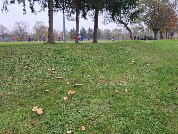 Sportpark Hundertäcker Platz 2 - Schweinfurt-Haardt