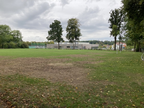 Franz-Hübner-Sportplatz auf der Waldau - Stuttgart-Degerloch