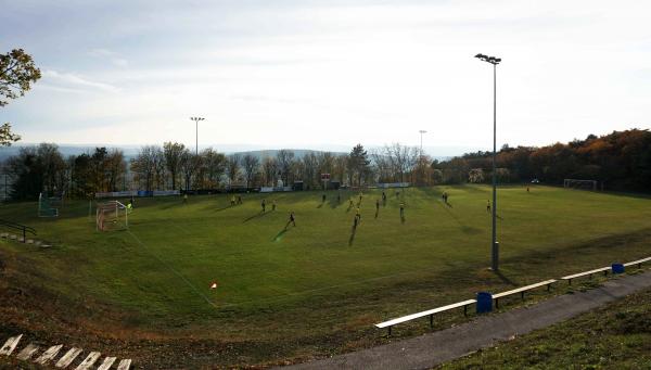 Waldparkstadion - Großhöflein