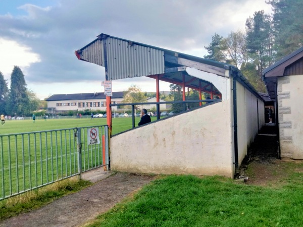 Lant Fields - Builth Wells, Powys