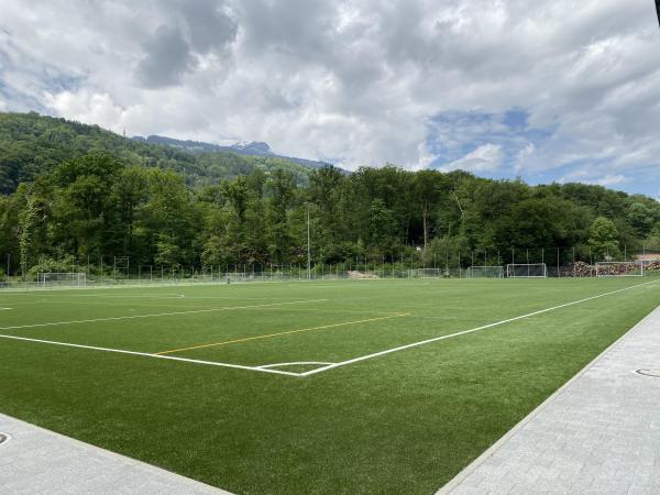 Sportplatz Tiergarten Platz 3 - Mels