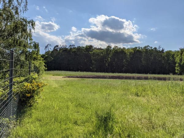 Sportplatz am Eisenberger Wald - Wattenheim/Pfalz