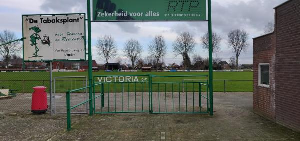 Sportpark De Ringelenberg - Druten-Afferden GLD