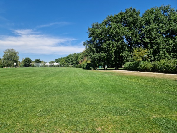 Centre Sportif Intercommunal des Evaux terrain 1 - Onex