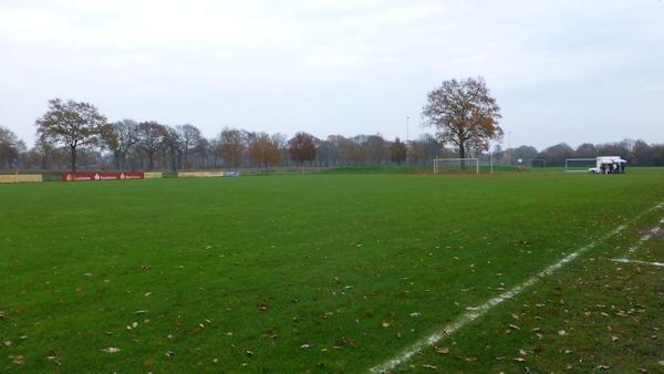 SwanCity-Arena - Kiebitzreihe