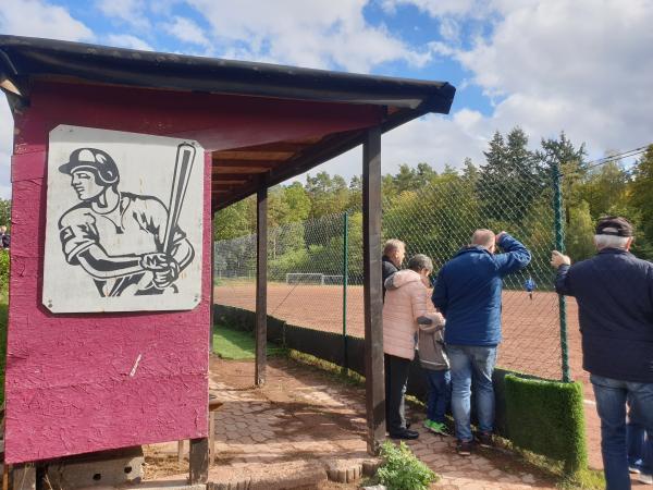 Waldstadion am Erbsenberg Nebenplatz 1 - Kaiserslautern
