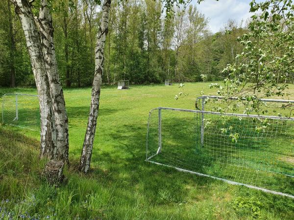 Sportplatz an der Müglitztalstraße - Altenberg/Erzgebirge-Bärenstein