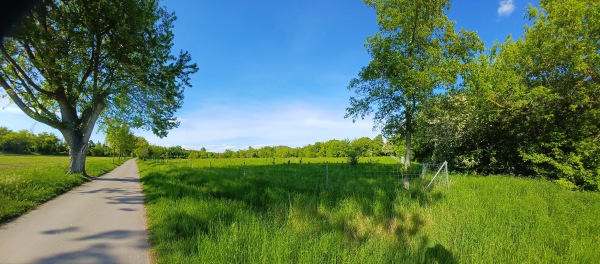 ESV-Platz 3 - Merseburg/Saale