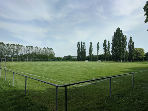 Complexe Sportif Roger Hassenforder terrain 3 - Sausheim