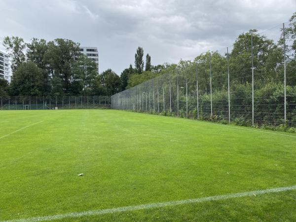 Sportanlage Bachgraben Platz 1 - Allschwil