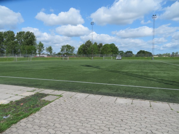 B.1909s Anlæg Kunstgraes - Odense NØ