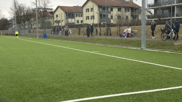 Sportanlagen Herti Allmend Platz 3 - Zug