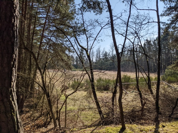 Waldsportplatz - Bad Dürkheim-Grethen