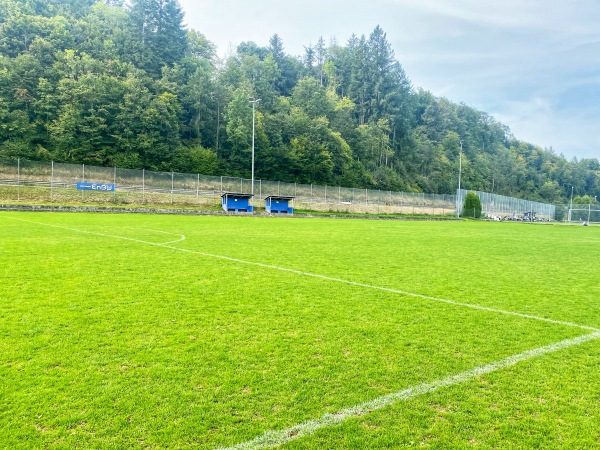Sportanlage Schefflenztalstraße Platz 2 - Billigheim/Baden